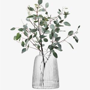 LSA pleated glass case. Brand new. 20 cm. Clear.